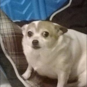 Meet your Posher, Tim